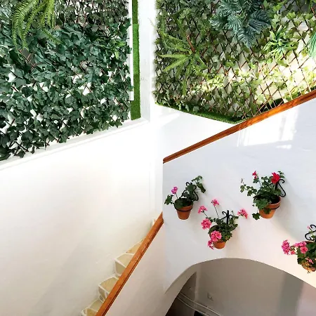 Adosado Flores Holiday home Benalmadena